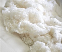 AbundantEarth.com Organic Cotton